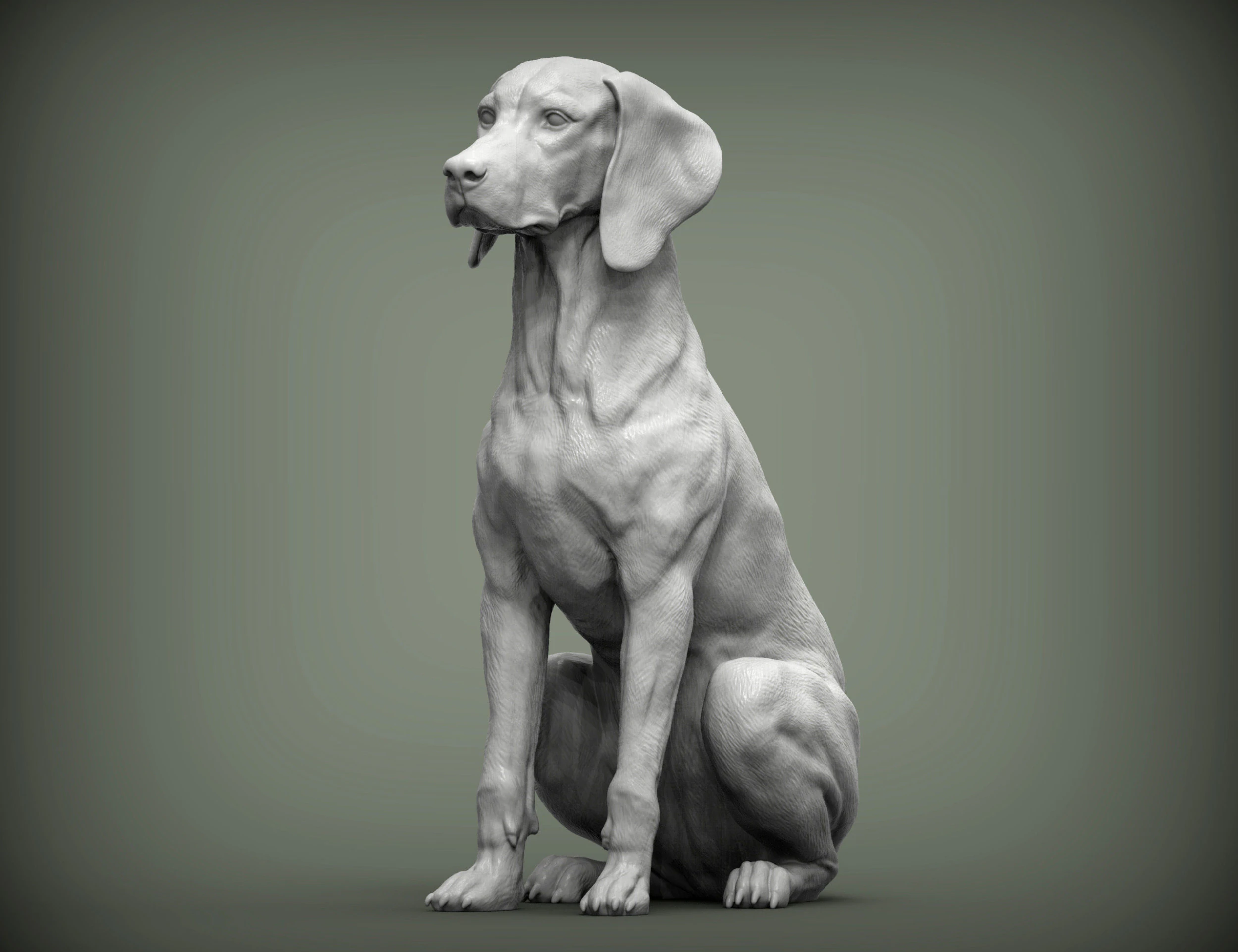 Hungarian vizsla 3D Print Model .c4d .max .obj .3ds .fbx .stl .blend