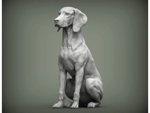 匈牙利维兹拉 3D 打印模型