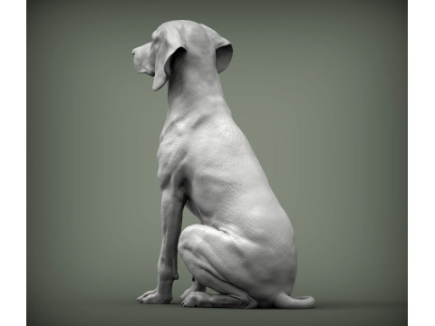 Hungarian vizsla Modelo de impresión 3D