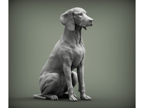 Hungarian vizsla Modelo de impresión 3D