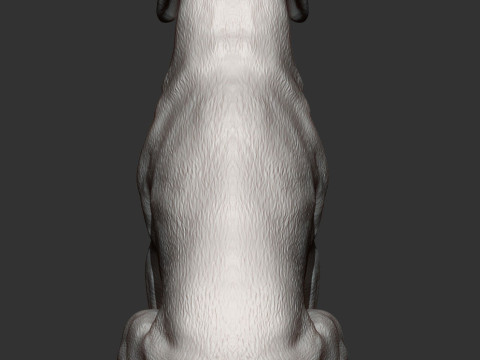 Hungarian vizsla Modelo de impresión 3D