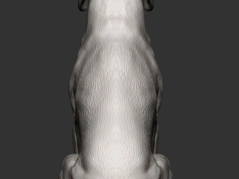 Hungarian vizsla 3D Print Model