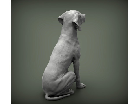 Hungarian vizsla Modelo de impresión 3D