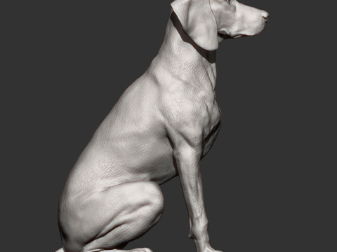 Hungarian vizsla Modelo de impresión 3D