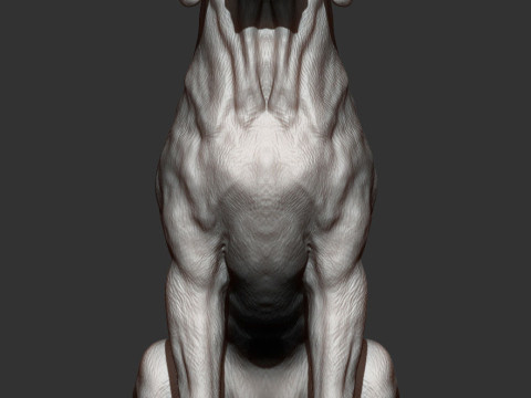Hungarian vizsla Modelo de impresión 3D