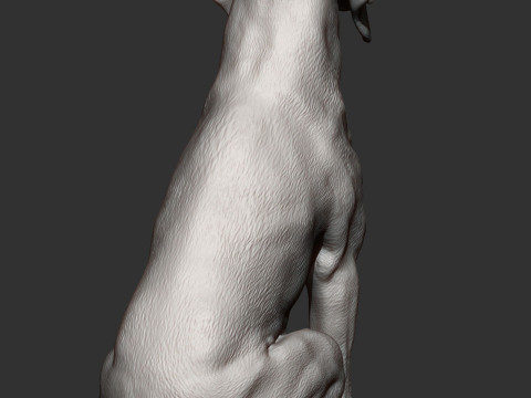 Hungarian vizsla Modelo de impresión 3D