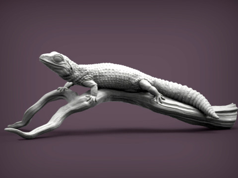 Leopard gecko 3D Print Model