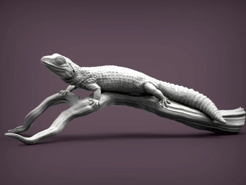 ヒョウモントカゲモドキ 3Dプリントモデル