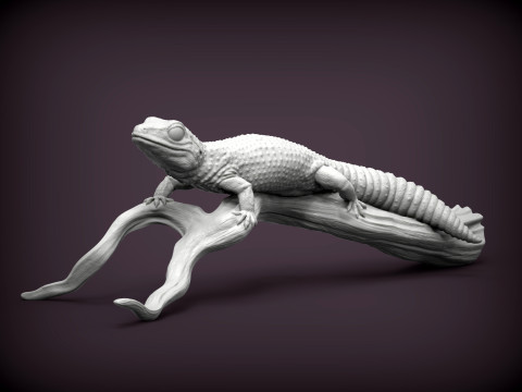 Leopard gecko 3Dプリントモデル