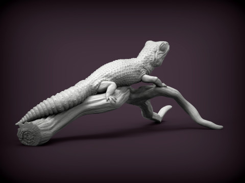 Leopard gecko 3Dプリントモデル