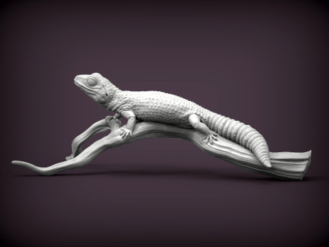Leopard gecko 3Dプリントモデル