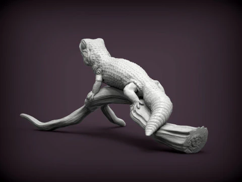 ヒョウモントカゲモドキ 3Dプリントモデル