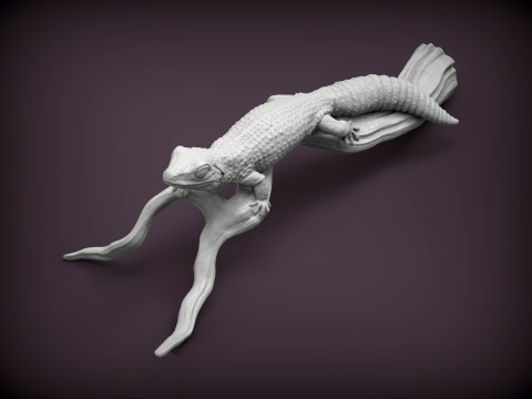 Leopard gecko 3Dプリントモデル