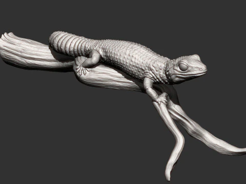 ヒョウモントカゲモドキ 3Dプリントモデル