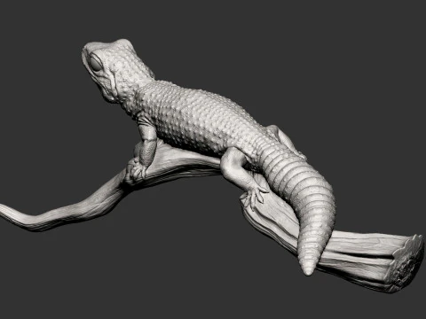 ヒョウモントカゲモドキ 3Dプリントモデル