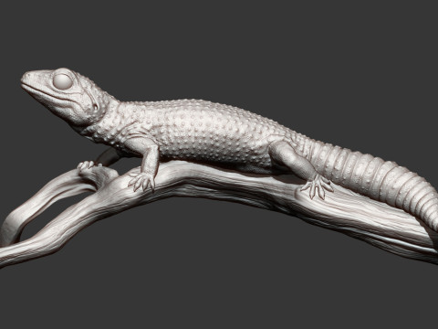 Leopard gecko 3Dプリントモデル