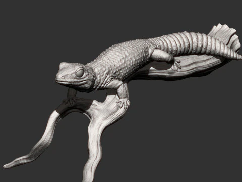 ヒョウモントカゲモドキ 3Dプリントモデル