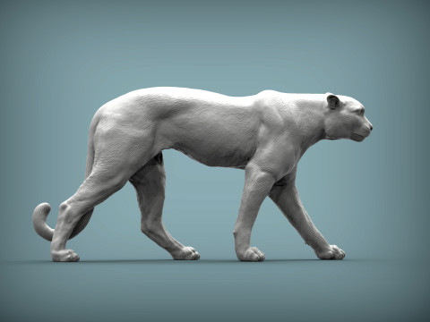 Cheetah 3D Baskı Modeli
