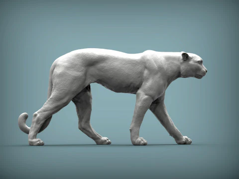 Cheetah 3D Print Model