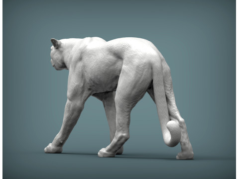 Cheetah 3D Print Model