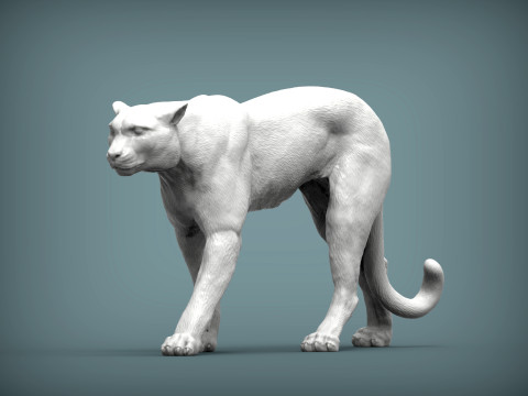Cheetah 3D Print Model