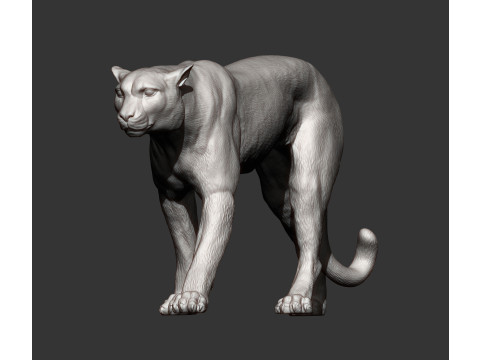 Cheetah 3D Print Model