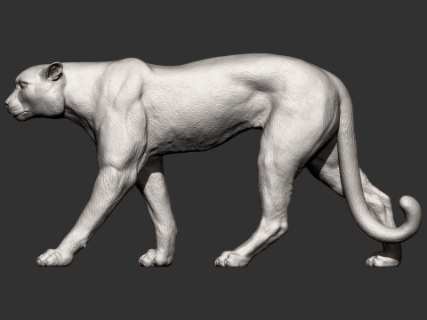 Cheetah 3D Print Model