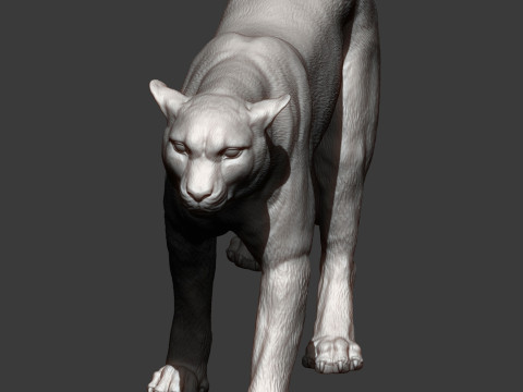 Cheetah 3D Print Model