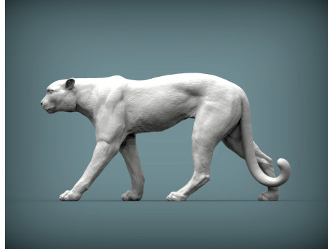 Cheetah 3D Print Model
