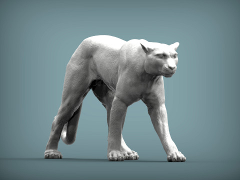 Cheetah 3D Print Model