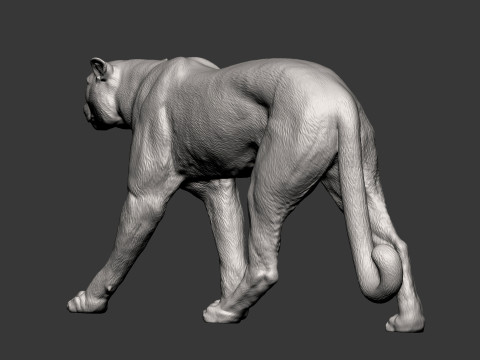 Cheetah 3D Print Model