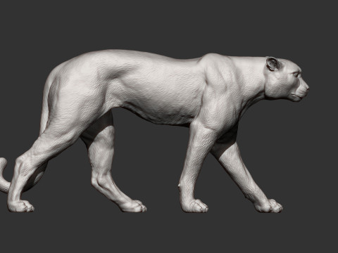 Cheetah 3D Print Model