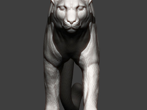 Cheetah 3D Print Model