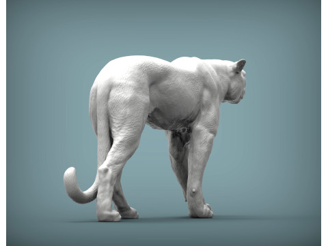 Cheetah 3D Print Model