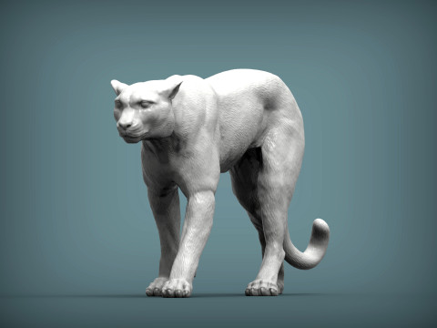 Cheetah 3D Print Model