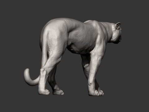 Cheetah 3D Print Model