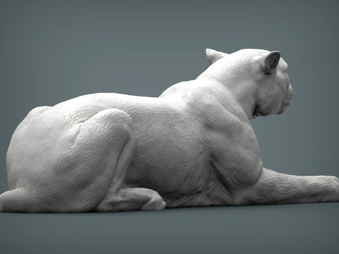Cheetah 3D-printmodel