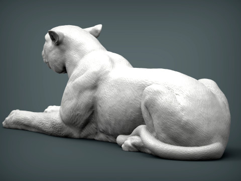 Cheetah 3D-printmodel
