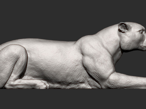 Cheetah 3D-printmodel