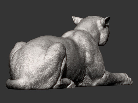 Cheetah 3D-printmodel