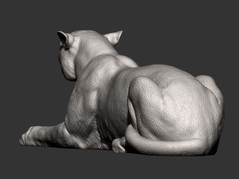 Cheetah 3D-printmodel