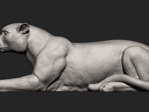Cheetah 3D-printmodel