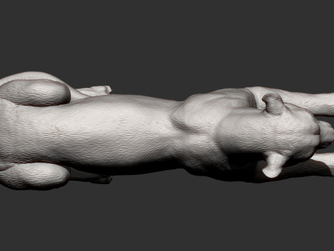 Cheetah 3D-printmodel