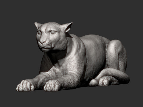 Cheetah 3D-printmodel