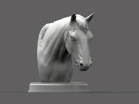 Horses head 3Dプリントモデル