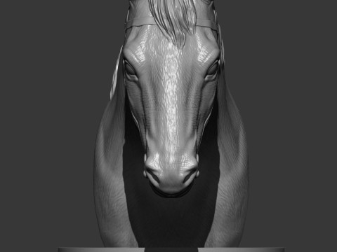 Horses head 3Dプリントモデル