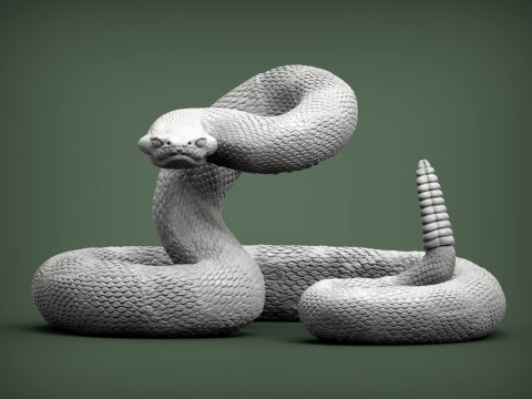 Rattlesnake Modello di stampa 3D
