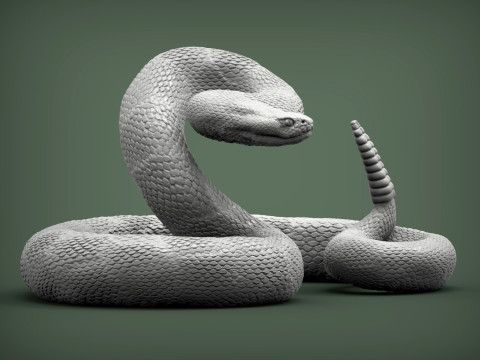 Rattlesnake Modelo de Impressão 3D