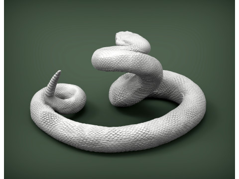 Rattlesnake Modelo de Impressão 3D