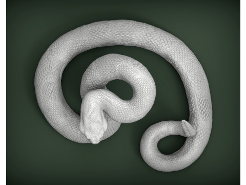 Rattlesnake Modelo de Impressão 3D